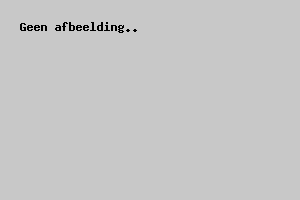 Perceuse à percussion-visseuse Makita DHP482RTJ 18 V